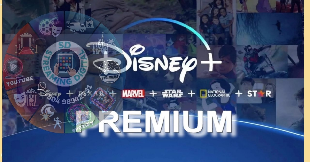 DISNEY STANDAR 1 PERFIL 1 MES