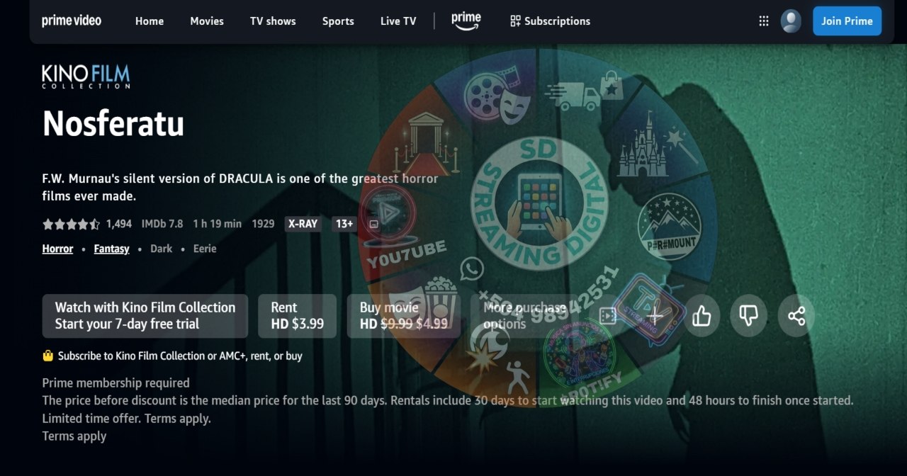 PRIME VIDEO 1 PERFIL 1 MES